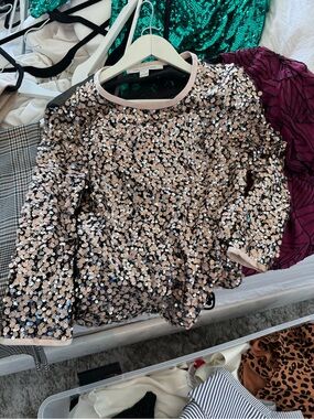Diane Von Furstenberg Rose Gold Sequin Long-Sleeve Top